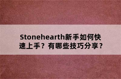 Stonehearth新手如何快速上手？有哪些技巧分享？