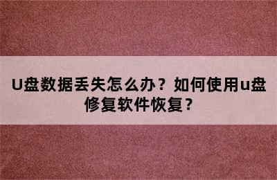 U盘数据丢失怎么办？如何使用u盘修复软件恢复？