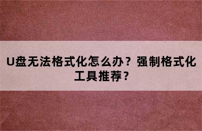 U盘无法格式化怎么办？强制格式化工具推荐？