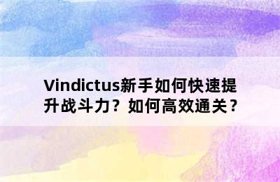 Vindictus新手如何快速提升战斗力？如何高效通关？