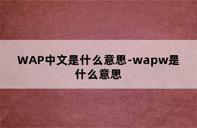 WAP中文是什么意思-wapw是什么意思