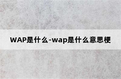 WAP是什么-wap是什么意思梗