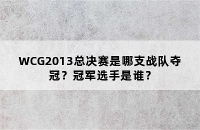 WCG2013总决赛是哪支战队夺冠？冠军选手是谁？