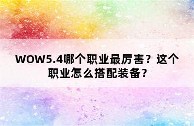 WOW5.4哪个职业最厉害？这个职业怎么搭配装备？