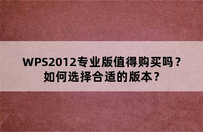 WPS2012专业版值得购买吗？如何选择合适的版本？