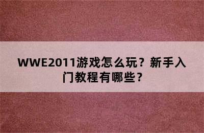 WWE2011游戏怎么玩？新手入门教程有哪些？