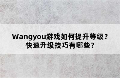 Wangyou游戏如何提升等级？快速升级技巧有哪些？