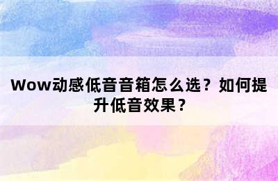 Wow动感低音音箱怎么选？如何提升低音效果？