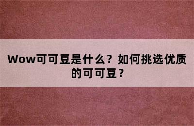 Wow可可豆是什么？如何挑选优质的可可豆？