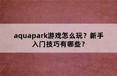 aquapark游戏怎么玩？新手入门技巧有哪些？