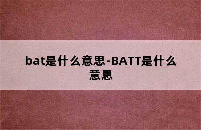 bat是什么意思-BATT是什么意思