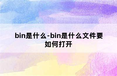 bin是什么-bin是什么文件要如何打开