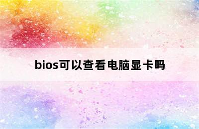 bios可以查看电脑显卡吗