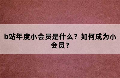 b站年度小会员是什么？如何成为小会员？