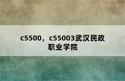 c5500，c55003武汉民政职业学院