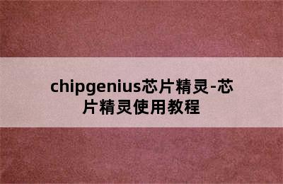 chipgenius芯片精灵-芯片精灵使用教程