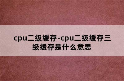 cpu二级缓存-cpu二级缓存三级缓存是什么意思
