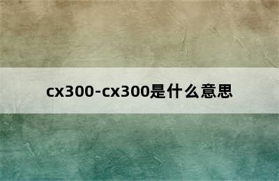 cx300-cx300是什么意思