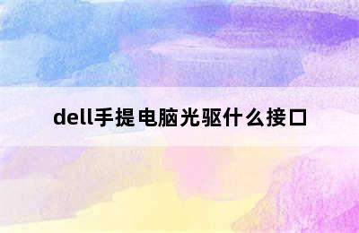 dell手提电脑光驱什么接口