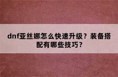 dnf亚丝娜怎么快速升级？装备搭配有哪些技巧？