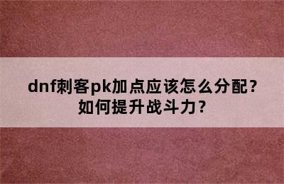 dnf刺客pk加点应该怎么分配？如何提升战斗力？