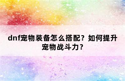 dnf宠物装备怎么搭配？如何提升宠物战斗力？