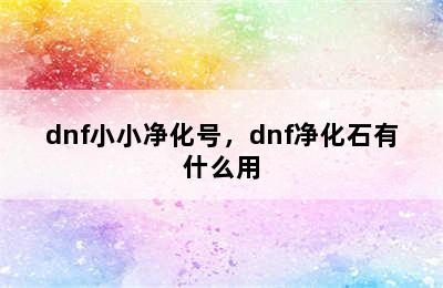 dnf小小净化号，dnf净化石有什么用