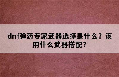 dnf弹药专家武器选择是什么？该用什么武器搭配？