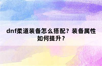 dnf柔道装备怎么搭配？装备属性如何提升？