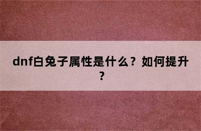 dnf白兔子属性是什么？如何提升？