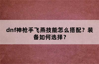 dnf神枪手飞燕技能怎么搭配？装备如何选择？