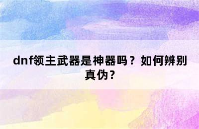 dnf领主武器是神器吗？如何辨别真伪？