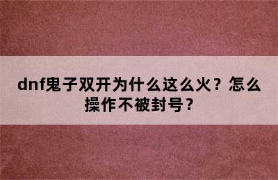 dnf鬼子双开为什么这么火？怎么操作不被封号？