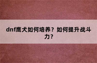 dnf鹰犬如何培养？如何提升战斗力？