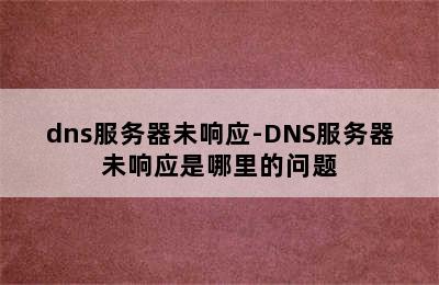 dns服务器未响应-DNS服务器未响应是哪里的问题