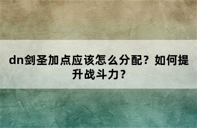 dn剑圣加点应该怎么分配？如何提升战斗力？