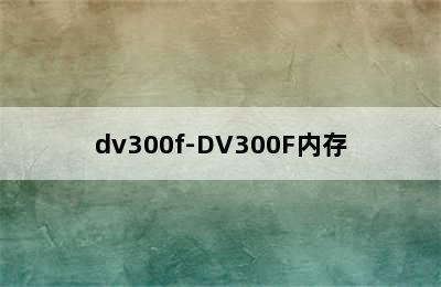 dv300f-DV300F内存