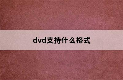 dvd支持什么格式