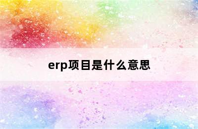 erp项目是什么意思