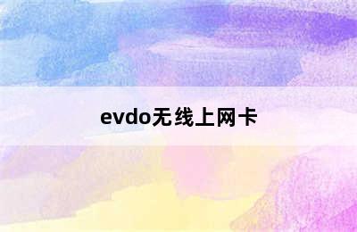 evdo无线上网卡