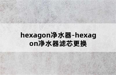 hexagon净水器-hexagon净水器滤芯更换