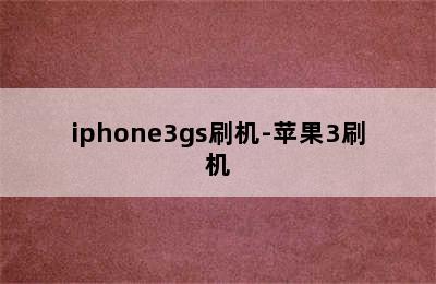 iphone3gs刷机-苹果3刷机