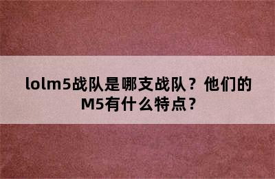 lolm5战队是哪支战队？他们的M5有什么特点？