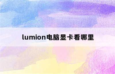 lumion电脑显卡看哪里