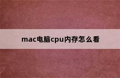 mac电脑cpu内存怎么看