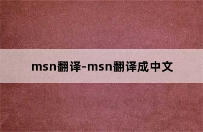 msn翻译-msn翻译成中文