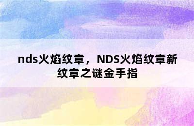 nds火焰纹章，NDS火焰纹章新纹章之谜金手指