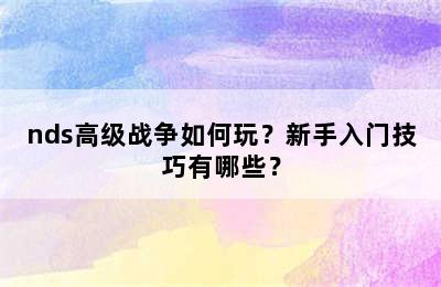 nds高级战争如何玩？新手入门技巧有哪些？