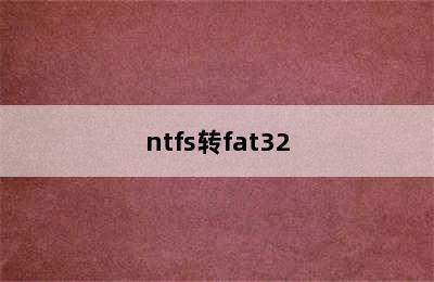 ntfs转fat32