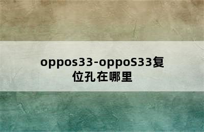 oppos33-oppoS33复位孔在哪里